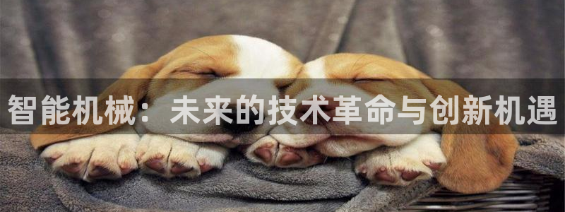 九游会游戏官网网页版