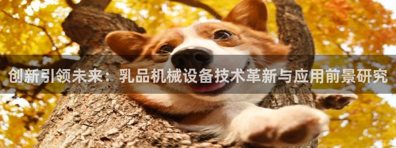 J9九游会集团