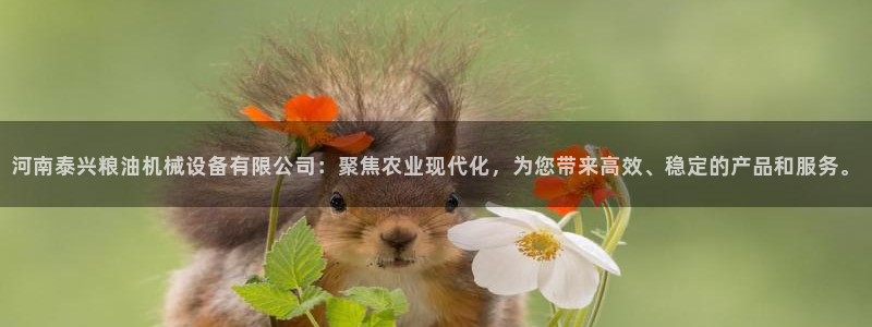 九游会ag官方网站在哪