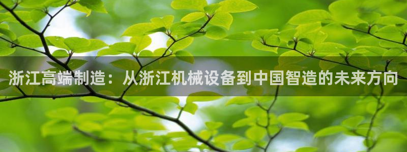 j9p下载