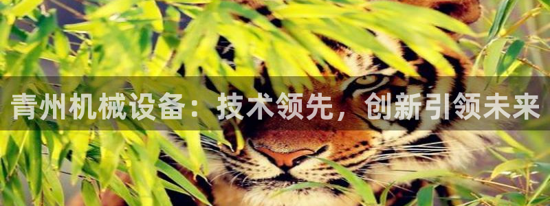 J9九游会官网app