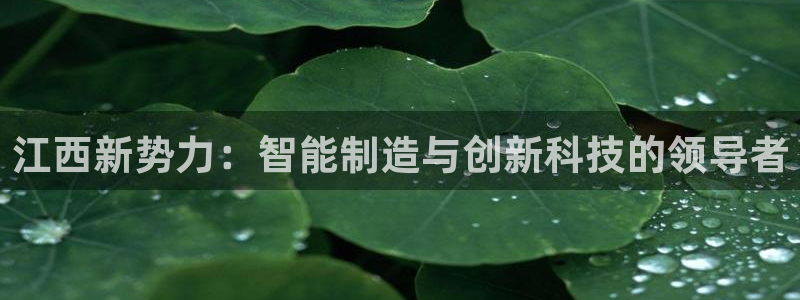 J9九游会ag