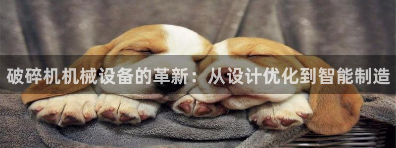 九游会官网站：破碎机