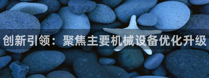 九游会ag入口：创新