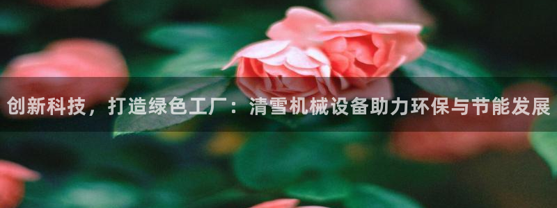 9游会j9