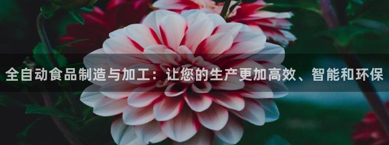 九游会是什么组织