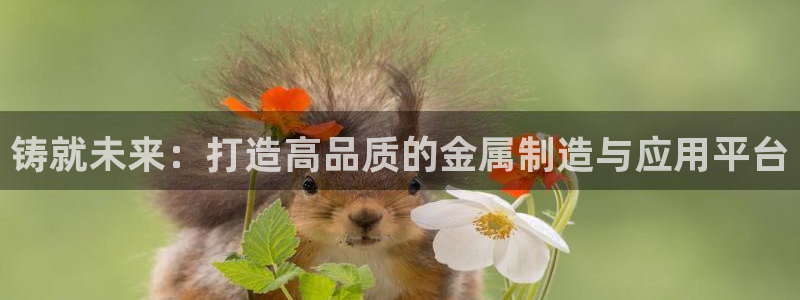 J9九游会官网app