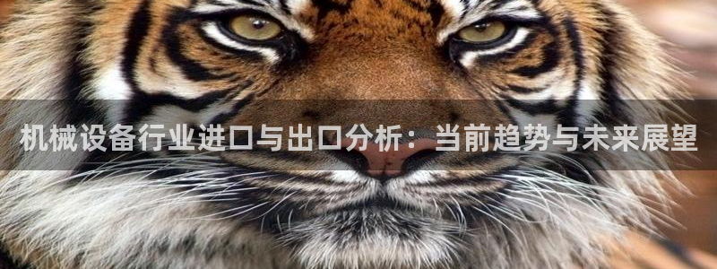 九游会网页版登录：机