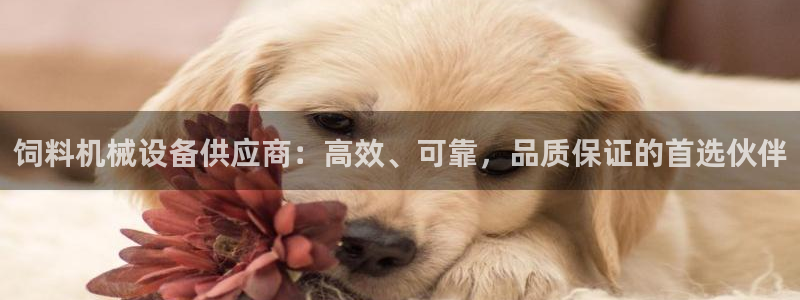 j9九游会下载