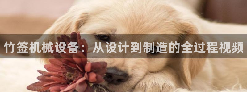 九游会亚洲官网