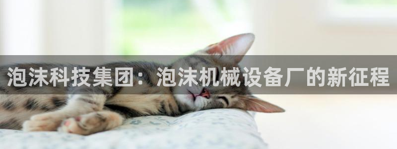 J9九游会试玩入口