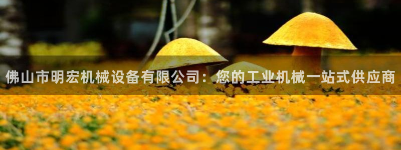 九游会官网登录网址