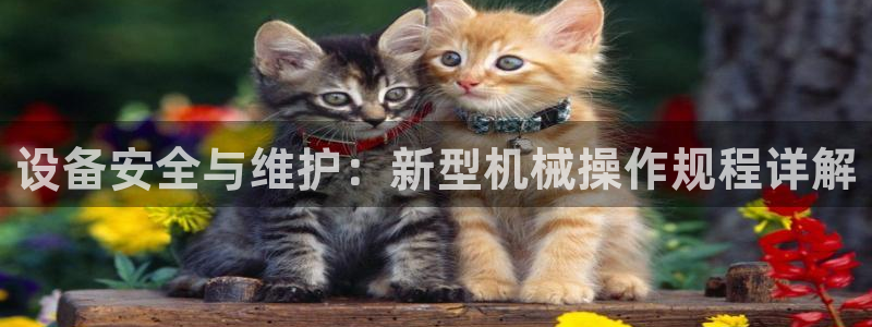 j9九游会最新官网