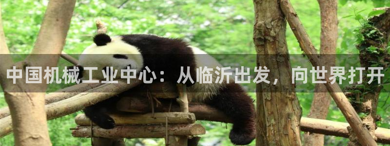 j9九游会官网入口