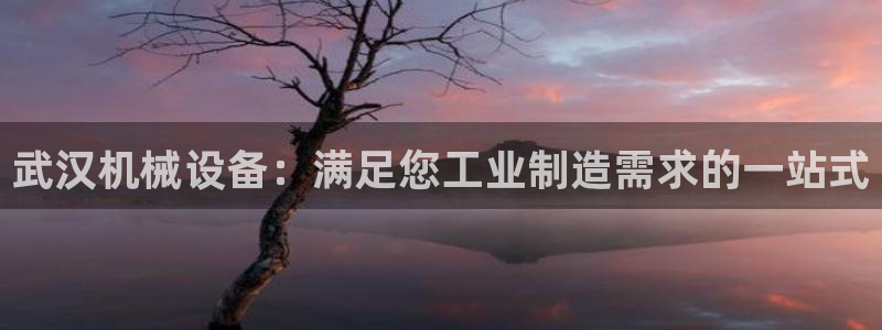 九游会官方首页登录