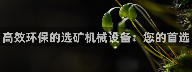 九游会进不去了