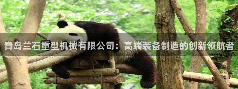 九游会平台网址：青岛