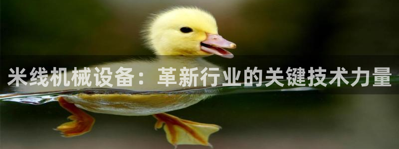 九游会官网进入口