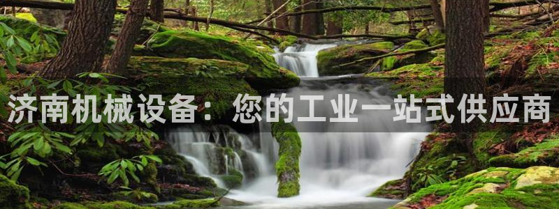 j9九游会体育：济南