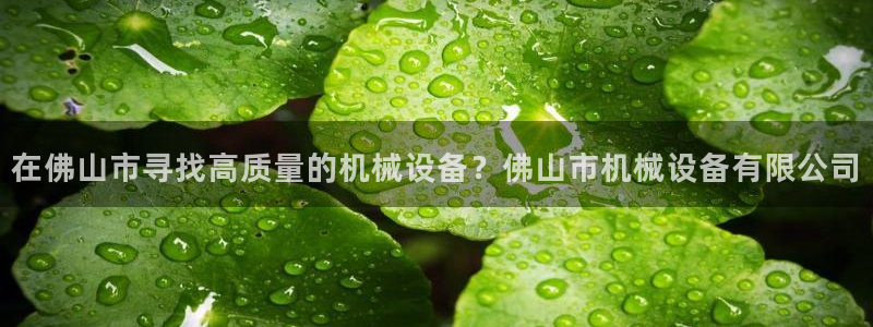 九游会注册网址