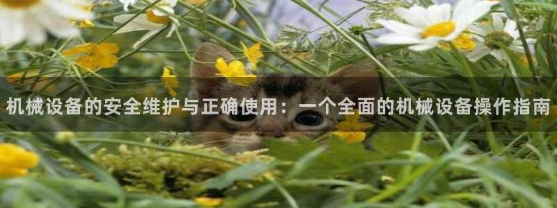 九游会agj9